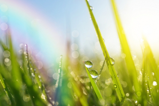 Charlotte Pehrson bloggar för tidningen Nära